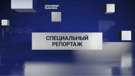 GreenAct: когда дерево — это память